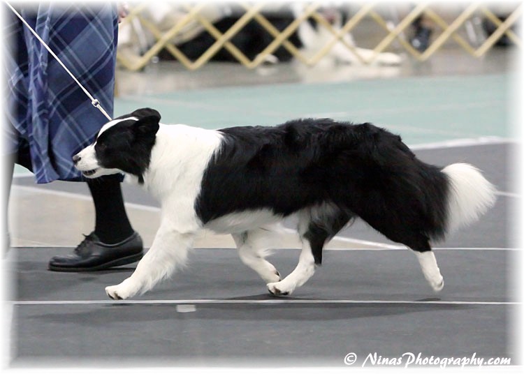 CiCi: BCSA Nationals, September 2011